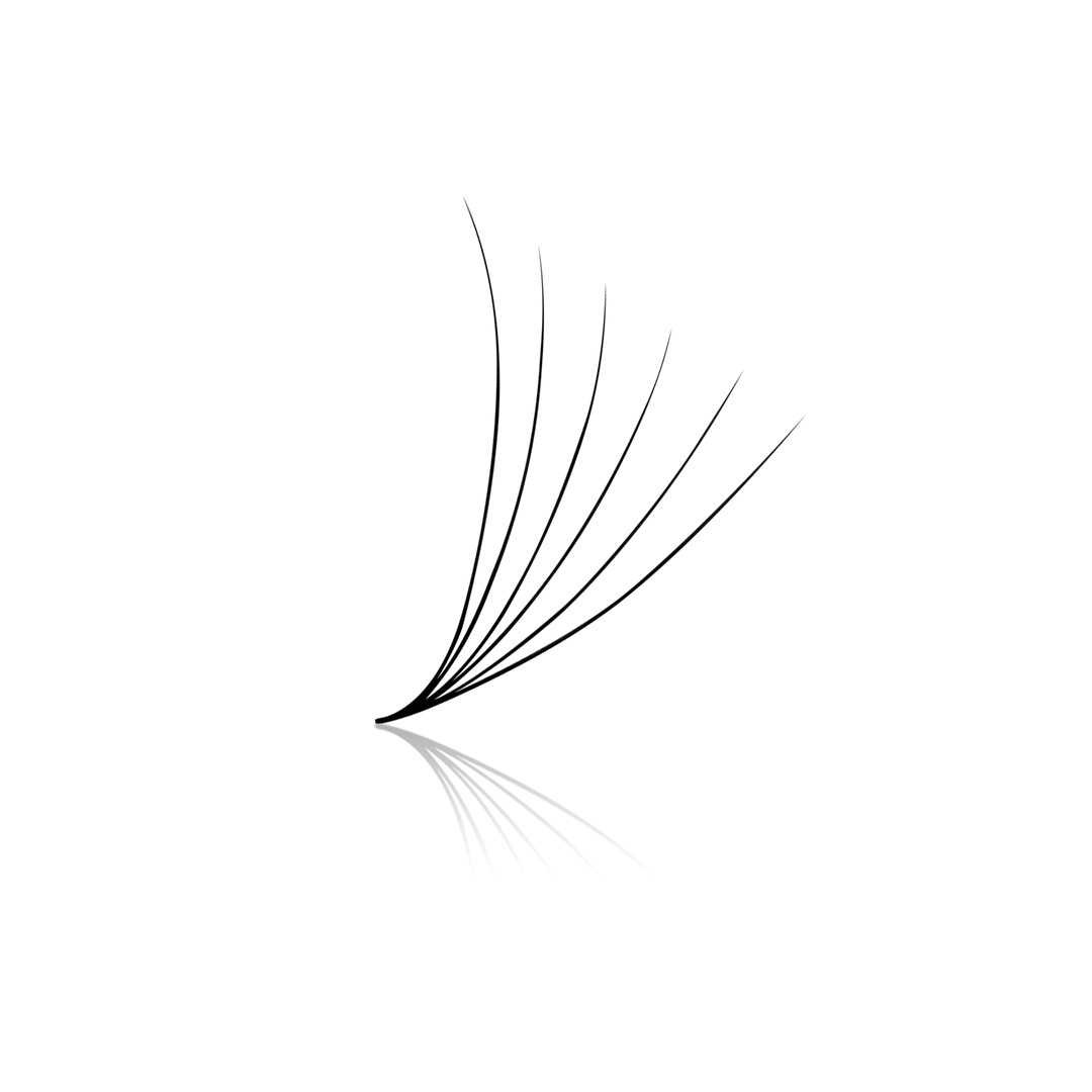 6D Mix Promade Loose fans - 0.07 D curl